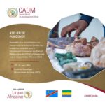 #EVENT: AMDC Hybrid Advocacy Workshop (ECCAS – Gabon & DRC )